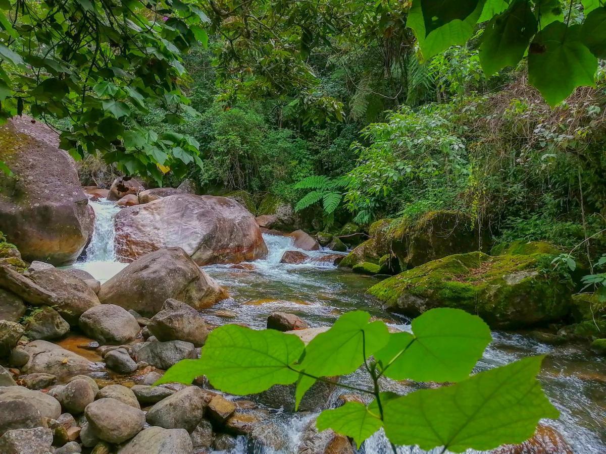 Chale 1 Alto Na Montanha, Com Lareira E Wi-Fi Leilighet Visconde de Mauá Eksteriør bilde
